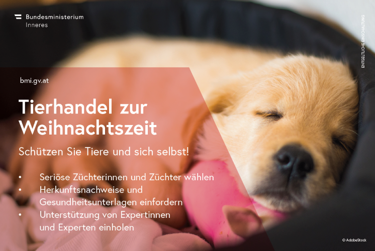 3_Kriminalpraevention_Weihnachten_2024_500h.png