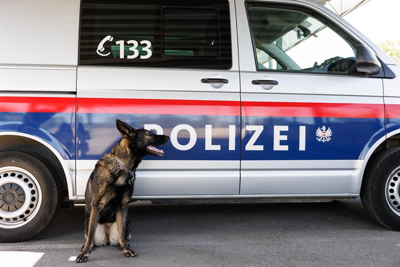 Der Nachwuchs für Polizeidiensthunde ist rechtlich wieder abgesichert.