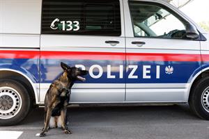 Der Nachwuchs für Polizeidiensthunde ist rechtlich wieder abgesichert.