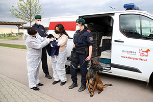 &bdquo;Aktion scharf gegen illegalen Welpenhandel&ldquo;: Kontrollen durch Mitarbeiterinnen des Veterin&auml;ramts und des TierQuarTiers.