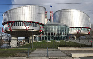 Der Europ&auml;ische Gerichtshof f&uuml;r Menschenrechte befand, dass die &ouml;sterreichischen Beh&ouml;rden ihren positiven Verpflichtungen in diesem Fall h&auml;uslicher Gewalt nachgekommen sind.