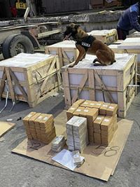 Drogengro&szlig;fund in Rum&auml;nien: 1,5 Tonnen Heroin im Wert von 45 Millionen Euro.