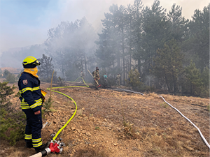 L&ouml;scheinsatz in Nordmazedonien: Die &ouml;sterreichischen Feuerwehren setzten &bdquo;Waldbrand-Module&ldquo; ein, das sind spezielle Einsatzeinheiten, um Wasserf&ouml;rderung &uuml;ber l&auml;ngere Strecken bewerkstelligen zu k&ouml;nnen.