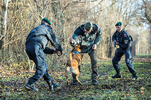 Vorf&uuml;hrung: Polizeidiensthundef&uuml;hrer m&uuml;ssen daf&uuml;r sorgen, dass die Hunde im Einsatz schnell zum Erfolg kommen.