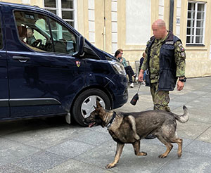Burgwache: Sicherheitsvorkehrungen w&auml;hrend des tschechischen EU-Ratsvorsitzes.