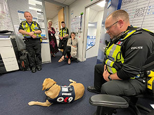 Hunde sollen f&uuml;r eine positive Stimmung in Polizeidienststellen in Gro&szlig;britannien sorgen