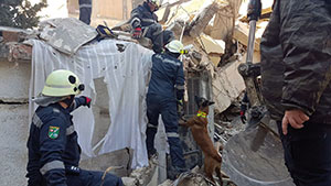 Angeh&ouml;rige der Austrian Forces Disaster Relief Unit (AFDRU), des Katastrophenhilfeelements des Bundesheers