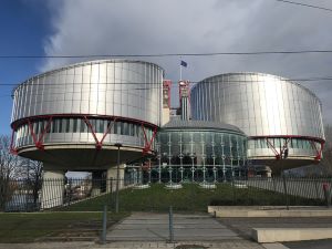 Nach Ansicht des EGMR seien die deutschen Beh&ouml;rden einem Vorwurf des Racial Profilings nicht ausreichend nachgegangen