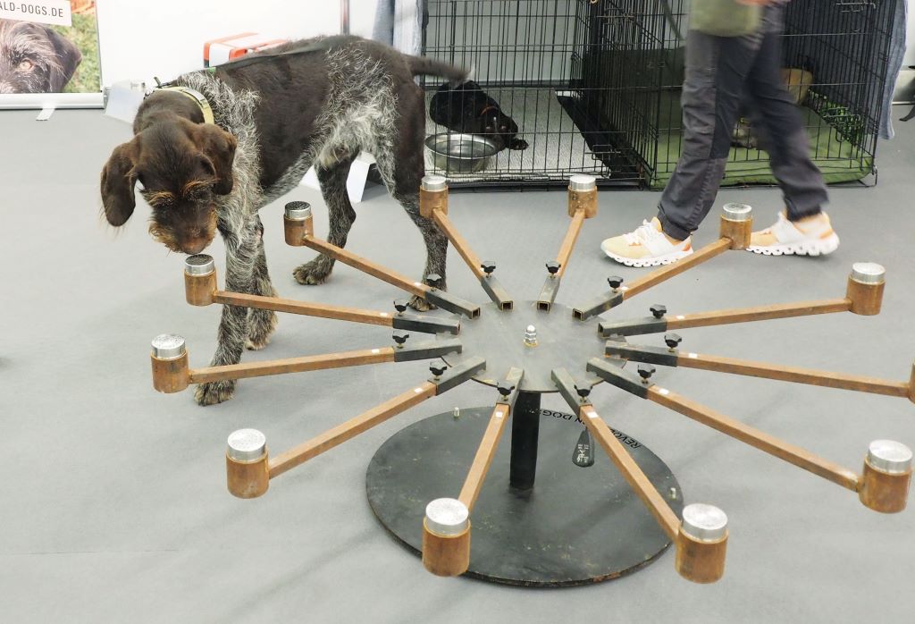 Vorf&uuml;hrung eines Datentr&auml;ger-Sp&uuml;rhundes: Geruchsproben auf dem Geruchskarussel (Scentwheel)