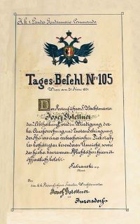 Belobigung f&uuml;r die &bdquo;Ausforschung und Zustandebringung des Th&auml;ters&ldquo; (1881)