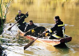 Leichensuchhund im Einsatz: Die Diensthunde der Bundesgendarmerie wurden urspr&uuml;nglich f&uuml;r den Kriminaldienst eingef&uuml;hrt